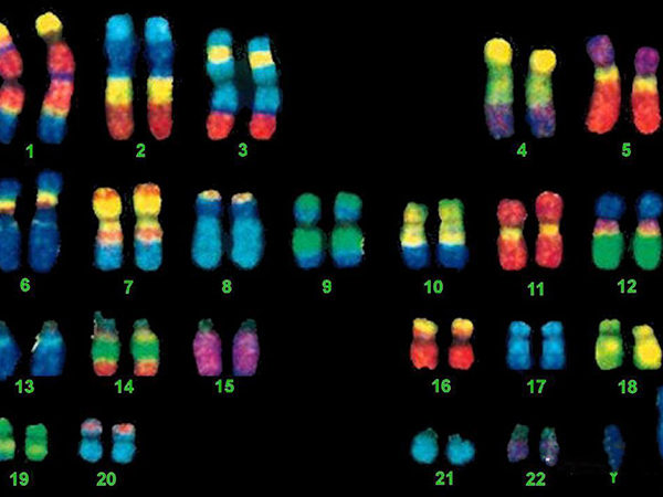 二代试管转3代筛查染色体的利弊