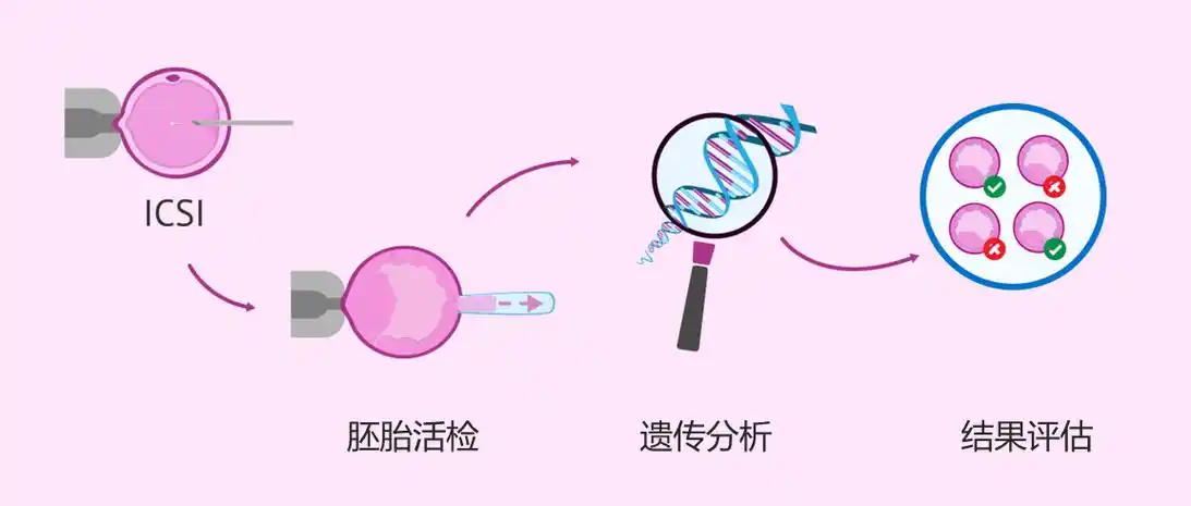 胚胎染色体检查多少钱？附郑州各医院收费情况介绍