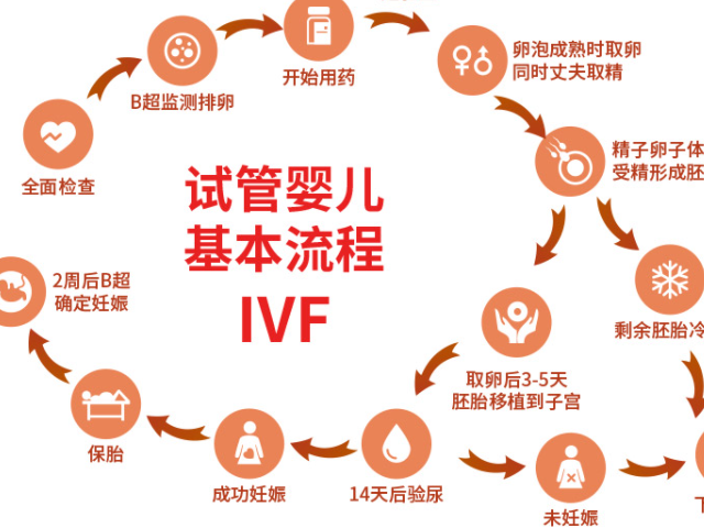 2025在国内私人机构做供L  试管要什么条件，费用要多少