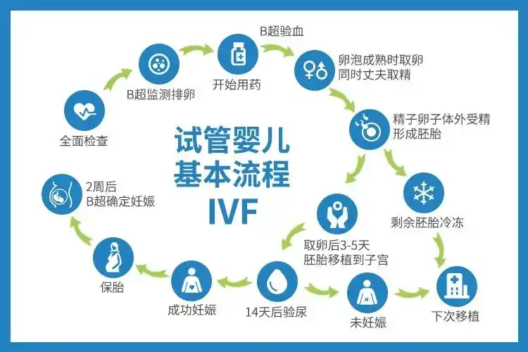 详解试管婴儿治疗全过程 - 进周 - 促排 - 取卵等流程步骤