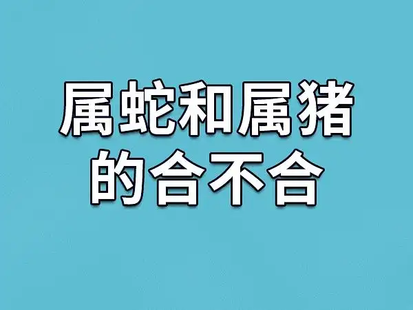 89年属蛇的能不能和83年属猪的人在一起