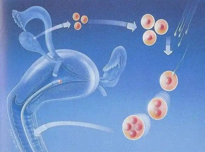 济南三代试管包生男孩的医院有哪些？相关费用60秒就能了解