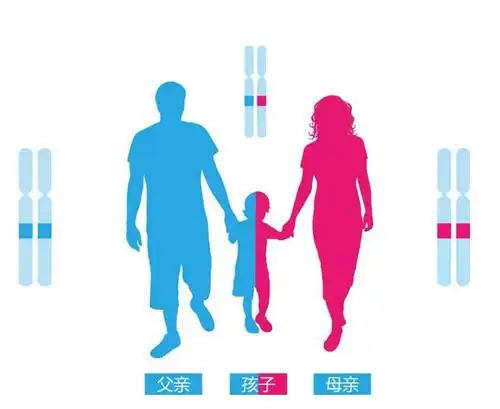 盘点最准确最简单鉴定亲子的六种方法