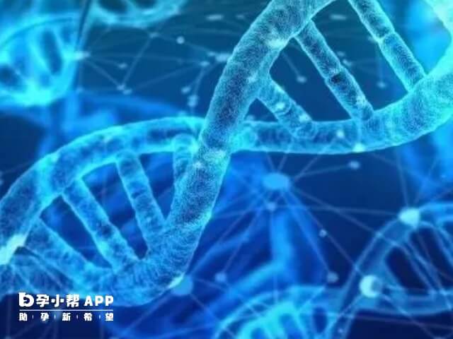 精子dna碎片率高需要先治疗