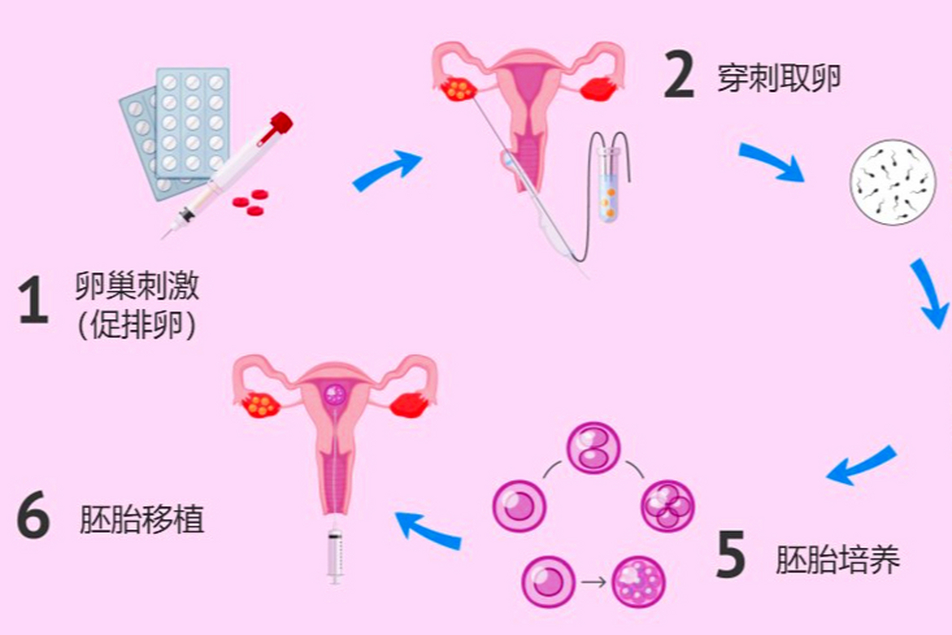 促排卵后医院是否会通知受精情况？