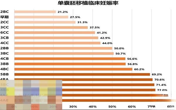 各等级囊胚移植成功率排列表