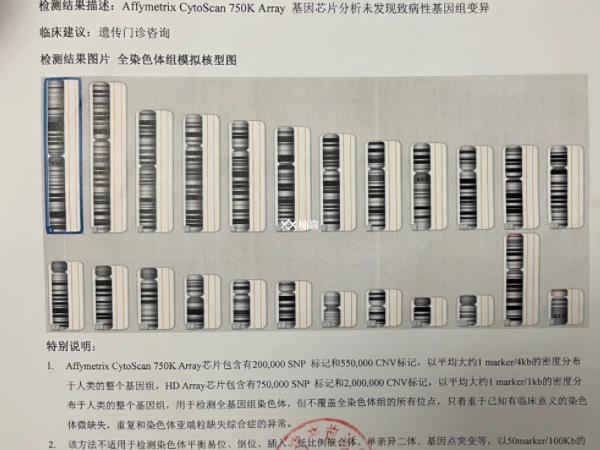 低比例嵌合胚胎移植后能否成功