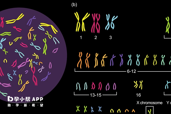 家族遗传可引起染色体异常