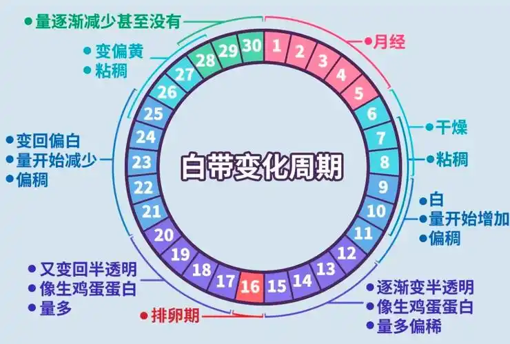 怀孕后每月还正常排卵吗？身体会出现哪些变化？